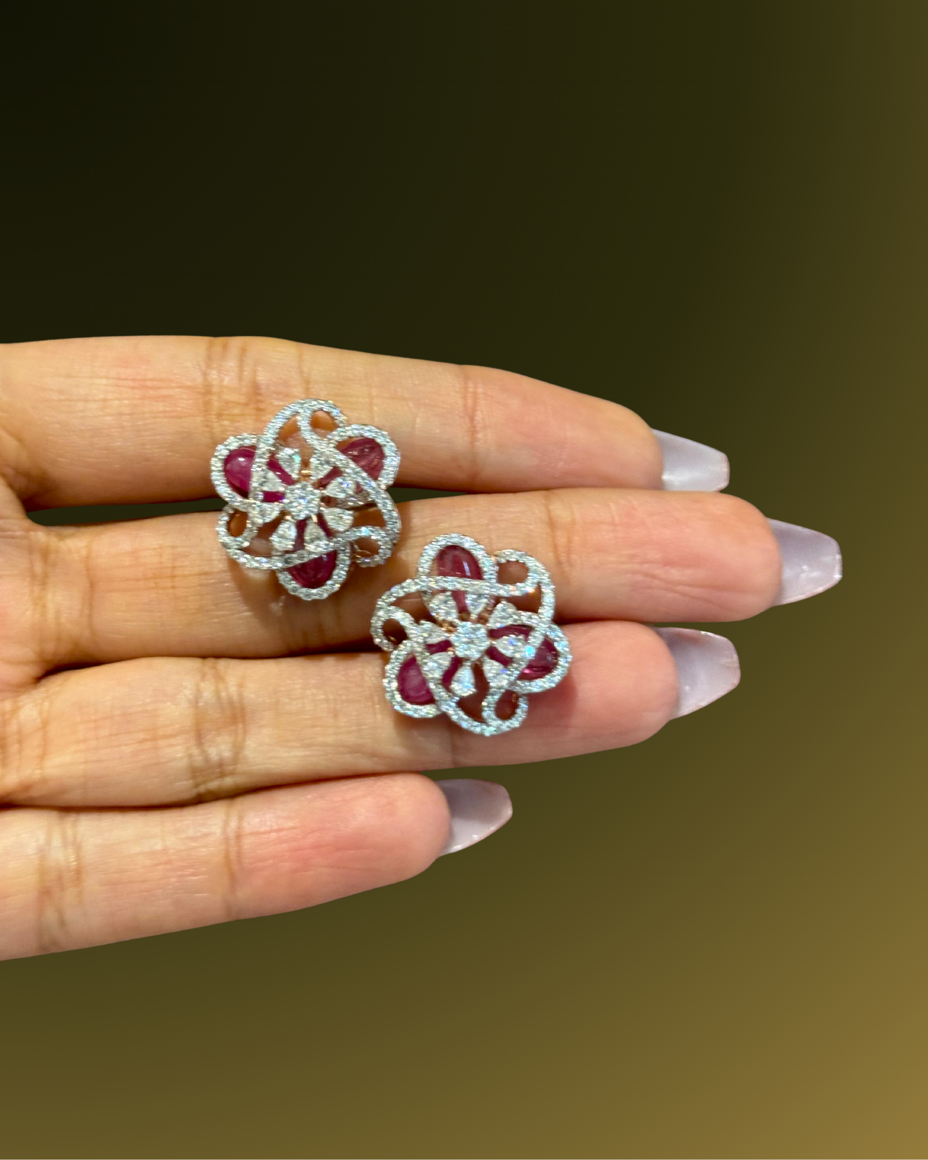 Exclusive Collection 6