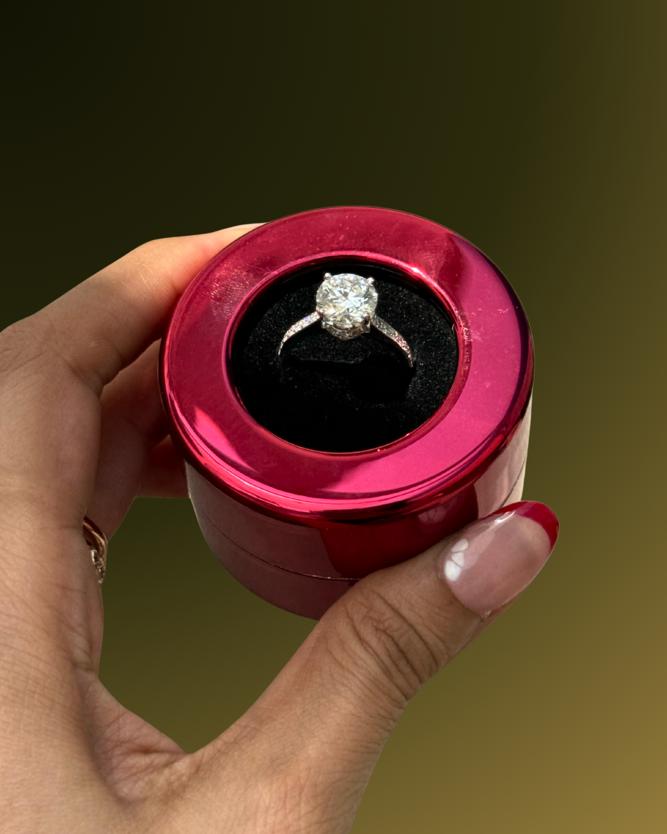 Exclusive Collection 4