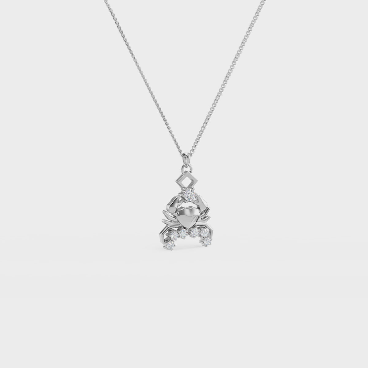 Zodiac:Capricorn Charm