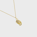 Zodiac:Vigro Charm