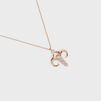 Zodiac: Aries Charm