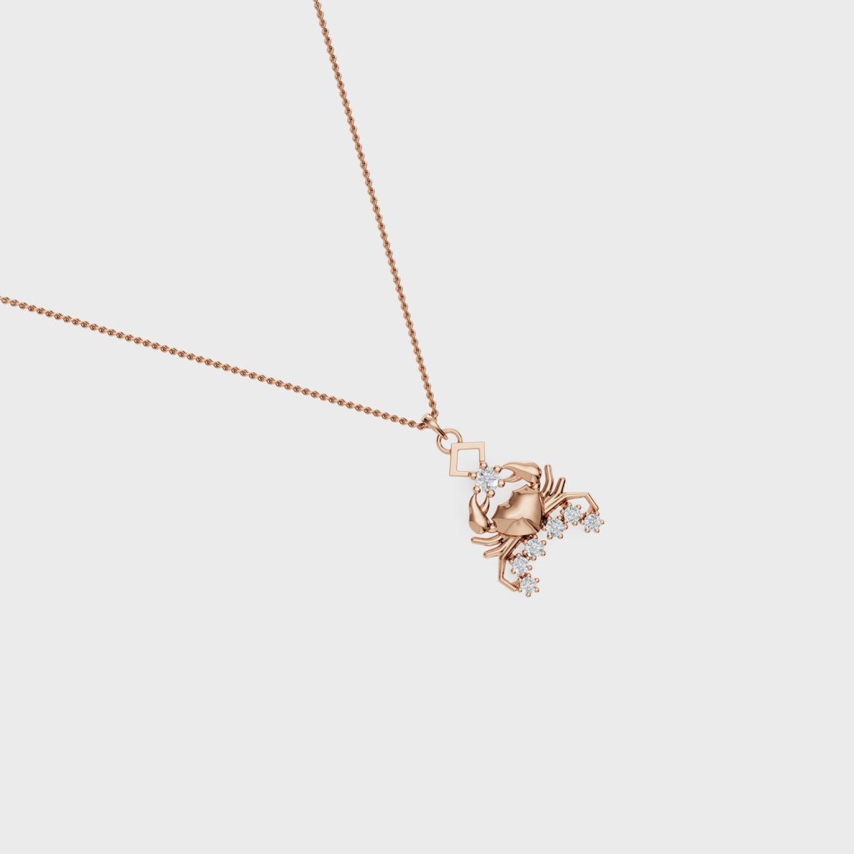 Zodiac:Capricorn Charm