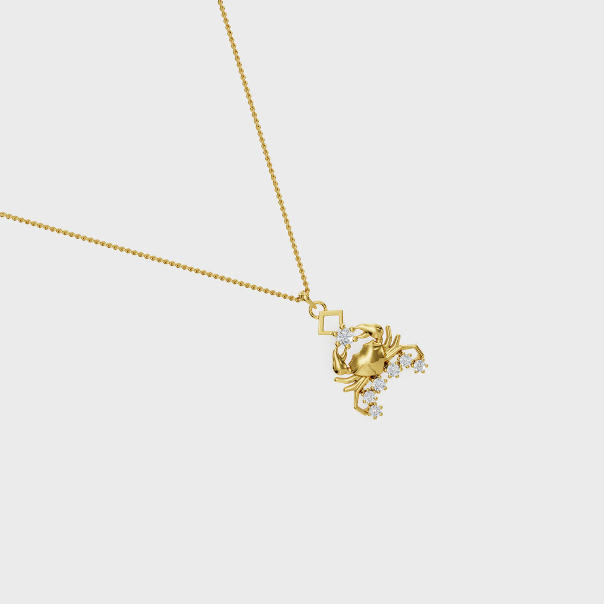 Zodiac:Capricorn Charm